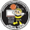 https://img.gelengigames.com/img/basketball/team/e416830f4083698237c559f8988ddb25.png